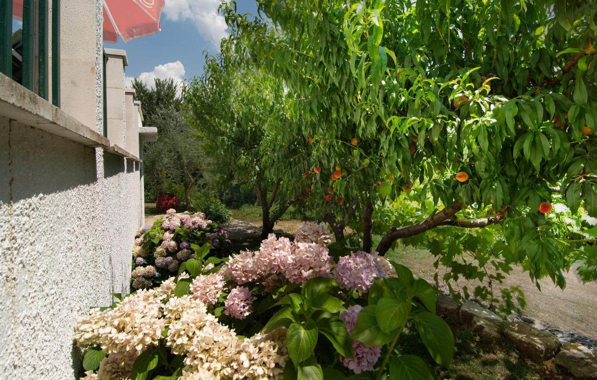 Cozy Home In Podaspilje With Kitchen Svinisce 외부 사진